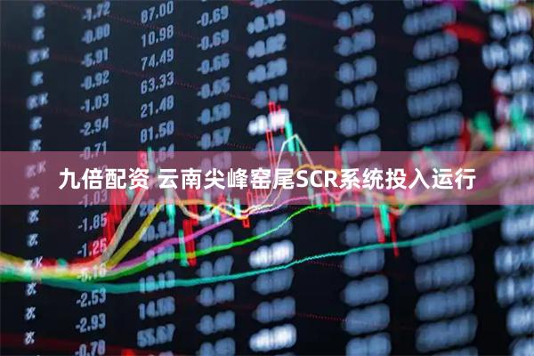 九倍配资 云南尖峰窑尾SCR系统投入运行